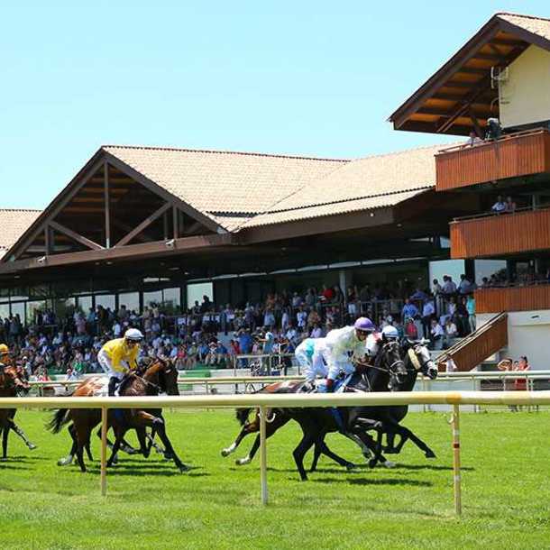 Visite privilège à l’hippodrome un jour de course